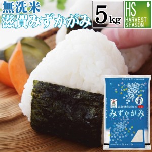 無洗米 滋賀県産 みずかがみ 5kg 令和5年産 特別栽培米 送料無料 [翌日配送]/北海道沖縄へは別途送料760円