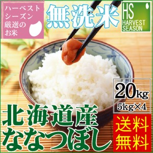 令和5年産 無洗米 北海道産 ななつぼし20kg (5kg×4袋) 特Ａ獲得米 送料無料 [翌日配送]/北海道沖縄へは別途送料760円