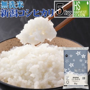 無洗米 新潟県産 コシヒカリ5kg  お米マイスター厳選 令和5年産 送料無料 [翌日配送]/北海道沖縄へは別途送料760円