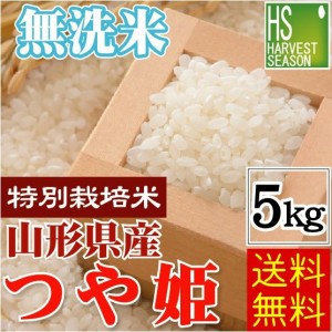 無洗米 山形県産 つや姫 5kg 令和5年産 特別栽培米 【送料無料 [翌日配送]/北海道沖縄へは別途送料760円】