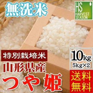 無洗米 山形県産 つや姫 10kg(5kg×2袋) 令和5年産 特別栽培米 【送料無料 [翌日配送]/北海道沖縄へは別途送料760円】