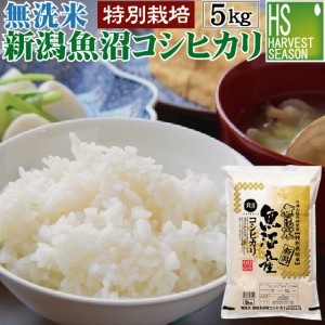 無洗米 特別栽培米 新潟県 魚沼産 コシヒカリ5kg  令和5年産  特Ａ獲得米 [翌日配送] 送料無料/北海道沖縄へは別途送料760円