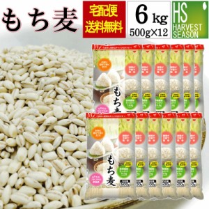 送料無料 お得なまとめ買い ケース販売】もち麦6kg(500g×12袋) (アメリカ産/大麦) 北海道沖縄は別途送料760円