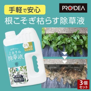 ドリーム 庭師さんのミネラル除草液 2L 3個セット 除草剤 無農薬 人畜無害 液体 雑草駆除剤 雑草対策 子供やペットにも安心 安全 非農耕