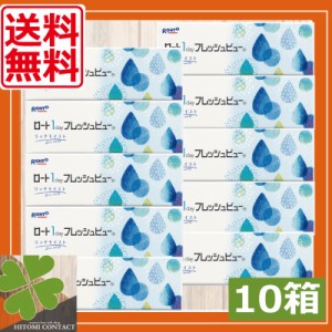 ロート ワンデーフレッシュビューリッチモイスト(30枚) ×10箱 送料無料 1day ROHTO　フレッシュビュー