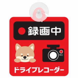 セーフティサイン アニマル いぬ 録画中 ドライブレコーダー 録画 車内用 後方 吸盤タイプ 煽り運転対策 収れん火災防止タイプ 安全対策 