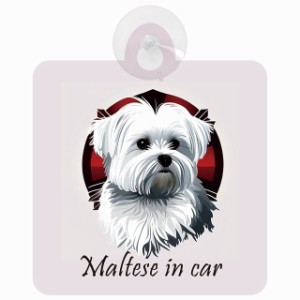 Maltese マルチーズ Bタイプ 車 窓ガラス 吸盤タイプ 犬 かっこいい おしゃれ イラスト付 DOG IN CAR ドッグインカー ドッグオンボード 