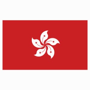 180x103mm 香港 Hong Kong 国旗 ステッカー シール National Flag 国 旗 塩ビ製