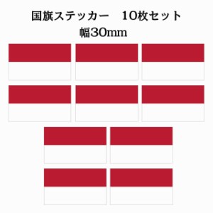 30x17mm 10枚セット インドネシア Indonesia 国旗 ステッカー シール National Flag 国 旗 塩ビ製