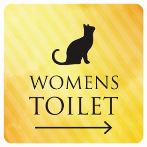 9x9cm トイレ 御手洗 TOILET トイレマーク ねこ 猫 ネコ イエローグラデーション WOMENS 右 矢印 ピクトサイン ステッカー シール 塩ビ製