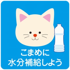 熱中症対策 こまめに水分補給 ねこ ブルー 90x90mm 案内 施設 ピクトサイン ステッカー シール 学校 体育館 屋内 屋外 施設 工場 現場 会