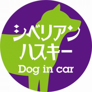 Dog in car ドッグインカー ステッカー カーステッカー シベリアンハスキー レトロ書体 パープルグリーン シール 煽り運転対策 屋外 屋内