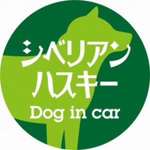 Dog in car ドッグインカー ステッカー カーステッカー シベリアンハスキー レトロ書体 グリーン シール 煽り運転対策 屋外 屋内 防水 か