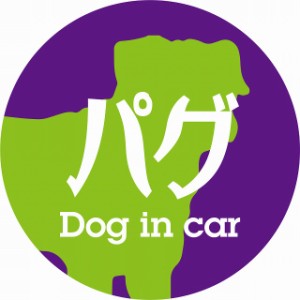 Dog in car ドッグインカー ステッカー カーステッカー パグ レトロ書体 パープルグリーン シール 煽り運転対策 屋外 屋内 防水 かわいい