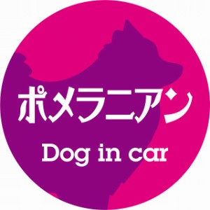 Dog in car ドッグインカー ステッカー カーステッカー ポメラニアン レトロ書体 ピンクパープル シール 煽り運転対策 屋外 屋内 防水 か