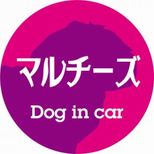 Dog in car ドッグインカー ステッカー カーステッカー マルチーズ レトロ書体 ピンクパープル シール 煽り運転対策 屋外 屋内 防水 かわ