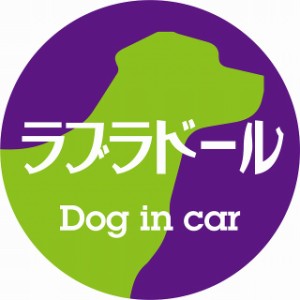 Dog in car ドッグインカー ステッカー カーステッカー ラブラドール レトロ書体 パープルグリーン シール 煽り運転対策 屋外 屋内 防水 