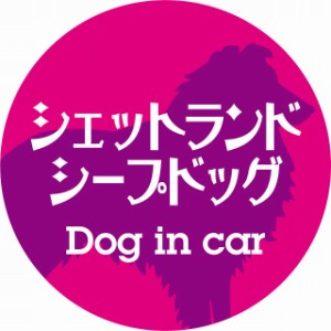 Dog in car ドッグインカー ステッカー カーステッカー シェットランドシープドッグ レトロ書体 ピンクパープル シール 煽り運転対策 屋