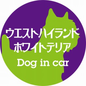 Dog in car ドッグインカー ステッカー カーステッカー ウエストハイランドホワイトテリア レトロ書体 パープルグリーン シール 煽り運転