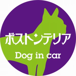 Dog in car ドッグインカー ステッカー カーステッカー ボストンテリア レトロ書体 パープルグリーン シール 煽り運転対策 屋外 屋内 防