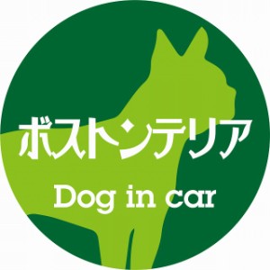 Dog in car ドッグインカー ステッカー カーステッカー ボストンテリア レトロ書体 グリーン シール 煽り運転対策 屋外 屋内 防水 かわい