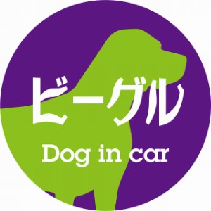 Dog in car ドッグインカー ステッカー カーステッカー ビーグル レトロ書体 パープルグリーン シール 煽り運転対策 屋外 屋内 防水 かわ