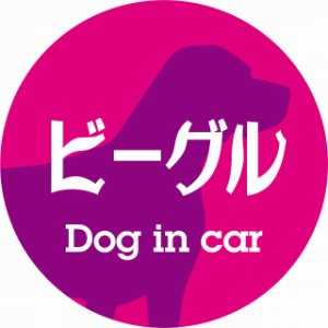 Dog in car ドッグインカー ステッカー カーステッカー ビーグル レトロ書体 ピンクパープル シール 煽り運転対策 屋外 屋内 防水 かわい