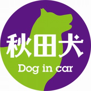 Dog in car ドッグインカー ステッカー カーステッカー 秋田犬 レトロ書体 パープルグリーン シール 煽り運転対策 屋外 屋内 防水 かわい