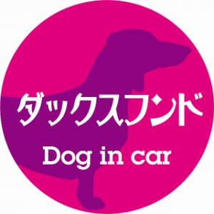 Dog in car ドッグインカー ステッカー カーステッカー ダックスフンド レトロ書体 ピンクパープル シール 煽り運転対策 屋外 屋内 防水 