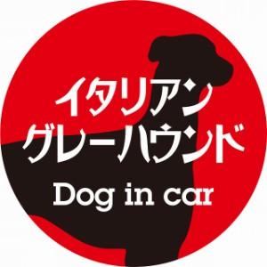 Dog in car ドッグインカー ステッカー カーステッカー イタリアングレーハウンド レトロ書体 レッドブラック シール 煽り運転対策 屋外 