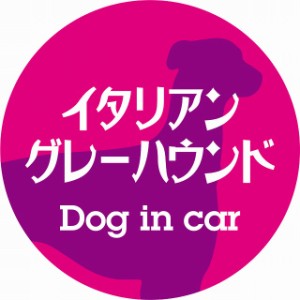 Dog in car ドッグインカー ステッカー カーステッカー イタリアングレーハウンド レトロ書体 ピンクパープル シール 煽り運転対策 屋外 