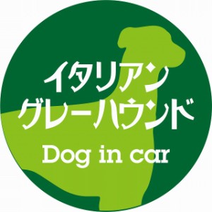 Dog in car ドッグインカー ステッカー カーステッカー イタリアングレーハウンド レトロ書体 グリーン シール 煽り運転対策 屋外 屋内 