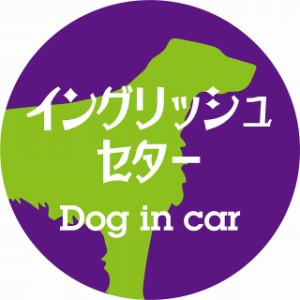 Dog in car ドッグインカー ステッカー カーステッカー イングリッシュセター レトロ書体 パープルグリーン シール 煽り運転対策 屋外 屋