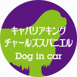 Dog in car ドッグインカー ステッカー カーステッカー キャバリアキングチャールズスパニエル レトロ書体 パープルグリーン シール 煽り