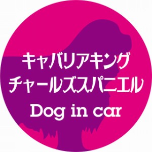 Dog in car ドッグインカー ステッカー カーステッカー キャバリアキングチャールズスパニエル レトロ書体 ピンクパープル シール 煽り運