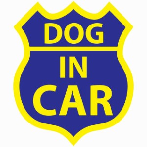 DOG IN CAR ステッカー ブルーイエロー ルート66 愛犬車用グッズ カーステッカー シール sticker 安全対策 あおり運転 かっこいい おしゃ