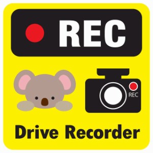 ドラレコ ステッカー シール REC Drive Recorder こあら イエロー 13x13cm 正方形 おしゃれ かわいい ドラレコシール 安全対策 危険運転 