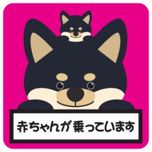 カーステッカー シール 車 赤ちゃんが乗っています 親子 黒柴 ピンク 13x13cm 正方形 おしゃれ かわいい 安全対策 危険運転 煽り運転 前