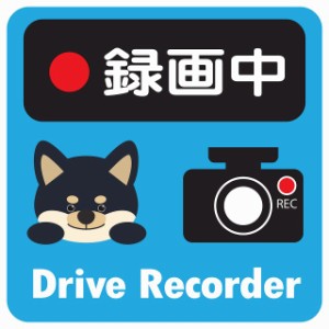 ドラレコ ステッカー シール 録画中 Drive Recorder 黒柴 ブルー 13x13cm 正方形 おしゃれ かわいい ドラレコシール 安全対策 危険運転 