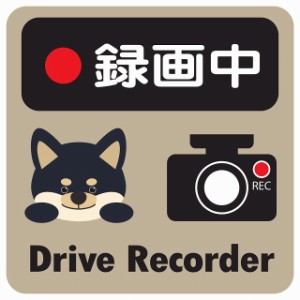 ドラレコ ステッカー シール 録画中 Drive Recorder 黒柴 グレーベージュ 13x13cm 正方形 おしゃれ かわいい ドラレコシール 安全対策 危