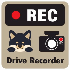 ドラレコ ステッカー シール REC Drive Recorder 黒柴 グレーベージュ 13x13cm 正方形 おしゃれ かわいい ドラレコシール 安全対策 危険