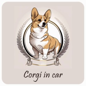 ドッグ カーステッカー イラスト付 Dog in Car コーギー Aタイプ セーフティサイン 犬種別 正方形 13x13cm シール リア あおり運転対策 D