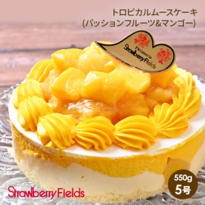 トロピカルムースケーキ(パッションフルーツ&マンゴー) 5号 15cm径 洋菓子 プレゼント フルーツケーキ マンゴーケーキ〔トロピカルムース