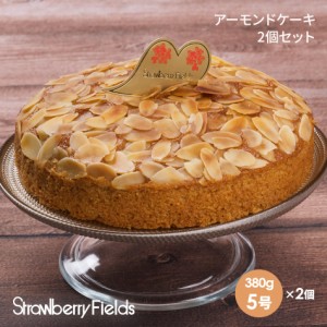 アーモンドケーキ×2個セット アーモンド 2個セット 5号 15cm径 贈答品 プレゼント ギフト 誕生日 ケーキ ストロベリーフィールズ 〔アー