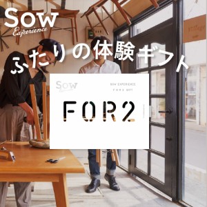 体験ギフト 『FOR2ギフト（BROWN）』 体験型ギフト 結婚祝い 結婚記念日 誕生日 プレゼント カタログギフト 両親 夫婦 新婚 退職祝い 贈