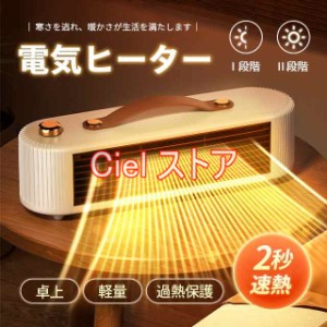 2秒即暖 電気ファンヒーター 静音 セラミックファンヒーター 暖房 小型暖風機 電気ストーブ セラミックヒーター 小型 800W 電気ヒーター