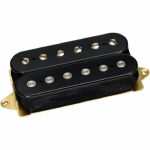 DiMarzio EJ CUSTOM NECK [DP211] (Black/Standard-Spaced) 【安心の正規輸入品】