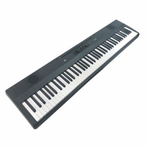 KORG Liano(L1SP)【1台限定展示アウトレット特価】(※沖縄、一部離島へのお届けは送料別途お見積り)(代引き不可)