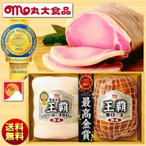 お中元 夏ギフト 丸大食品 丸大ハム 王覇 おうは ハムギフト HA-502 送料無料 ハム詰め合わせ 