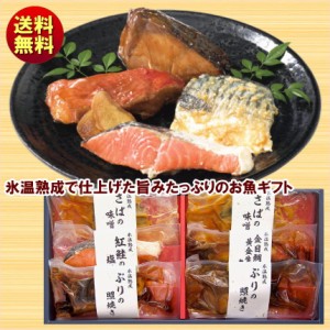 氷温熟成 煮魚 焼魚ギフトセット 6切 NYG-30S 送料無料